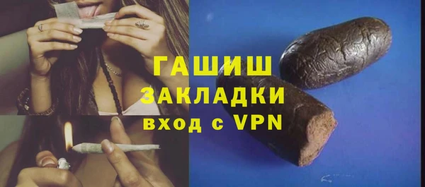 хмурый Алексин