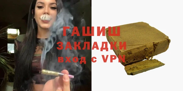 хмурый Алексин
