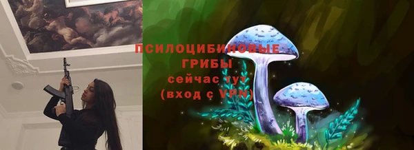 хмурый Алексин