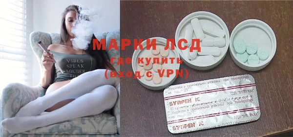 хмурый Алексин