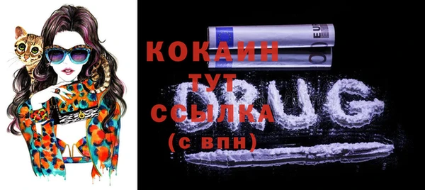 spice Рославль