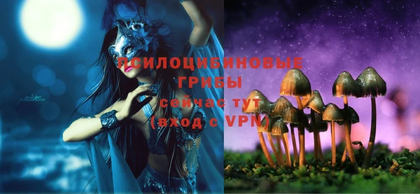 хмурый Алексин
